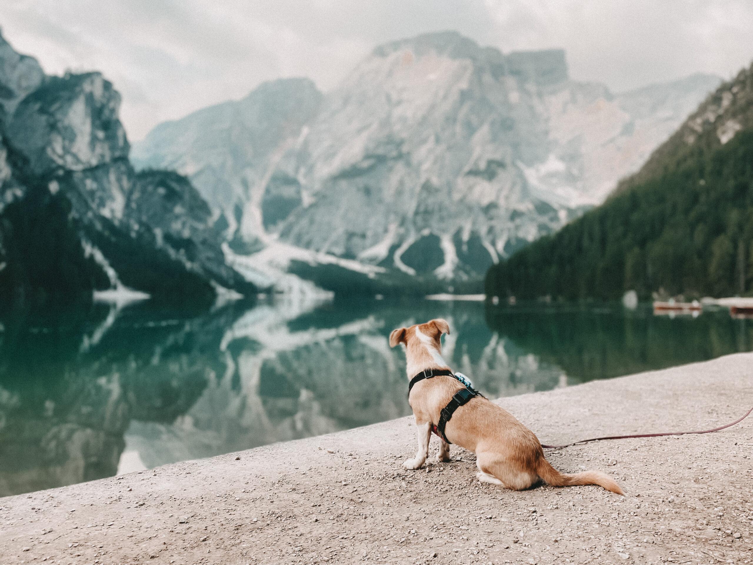 Campingplatz Südtirol 18