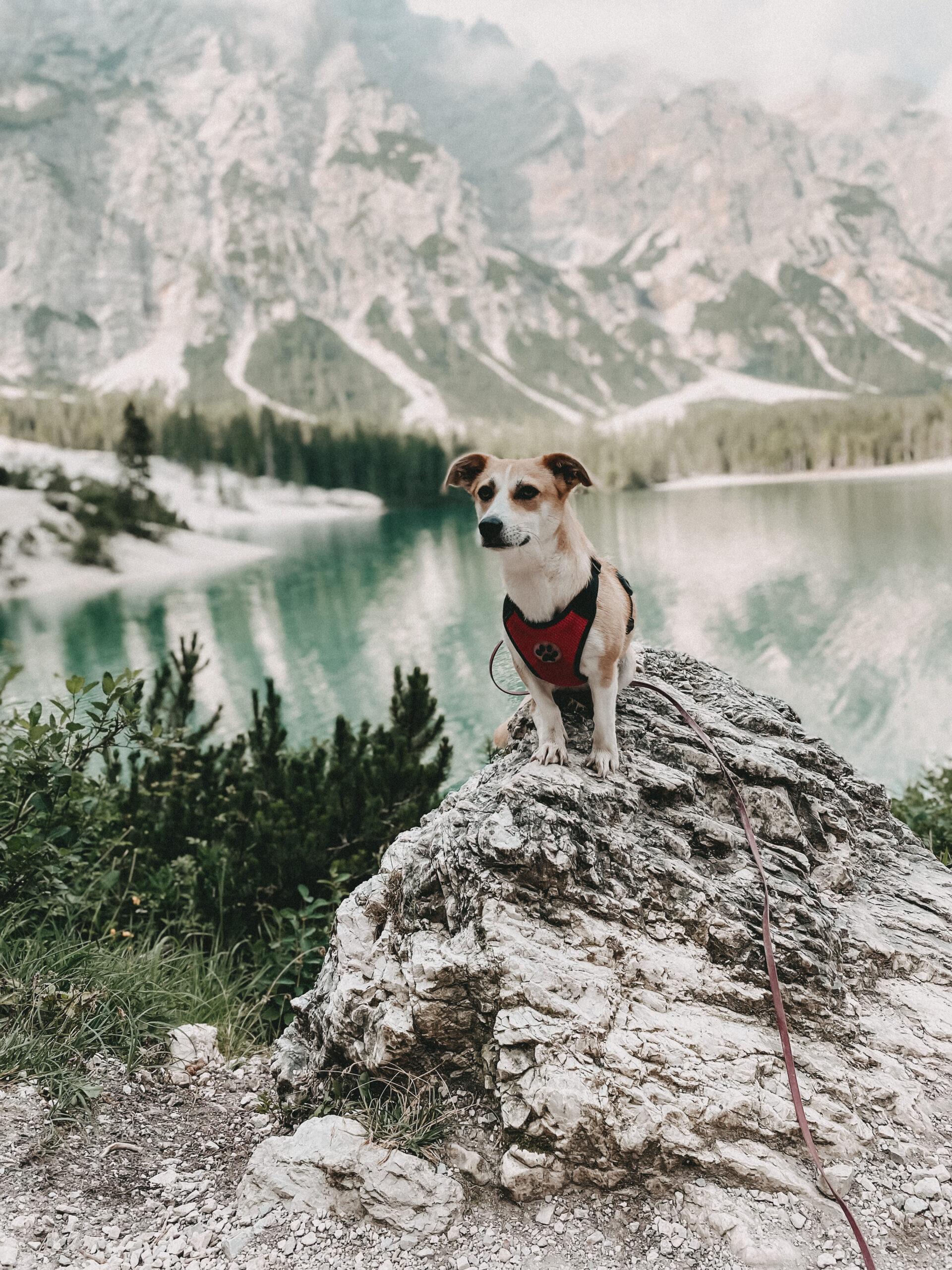 Campingplatz Südtirol 15