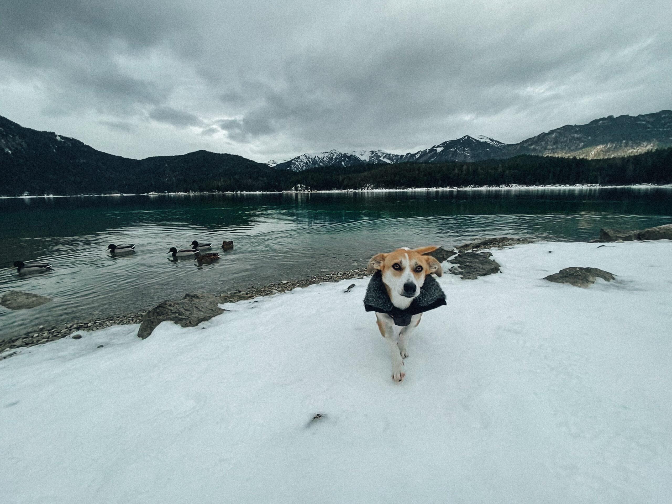 Eibsee 12