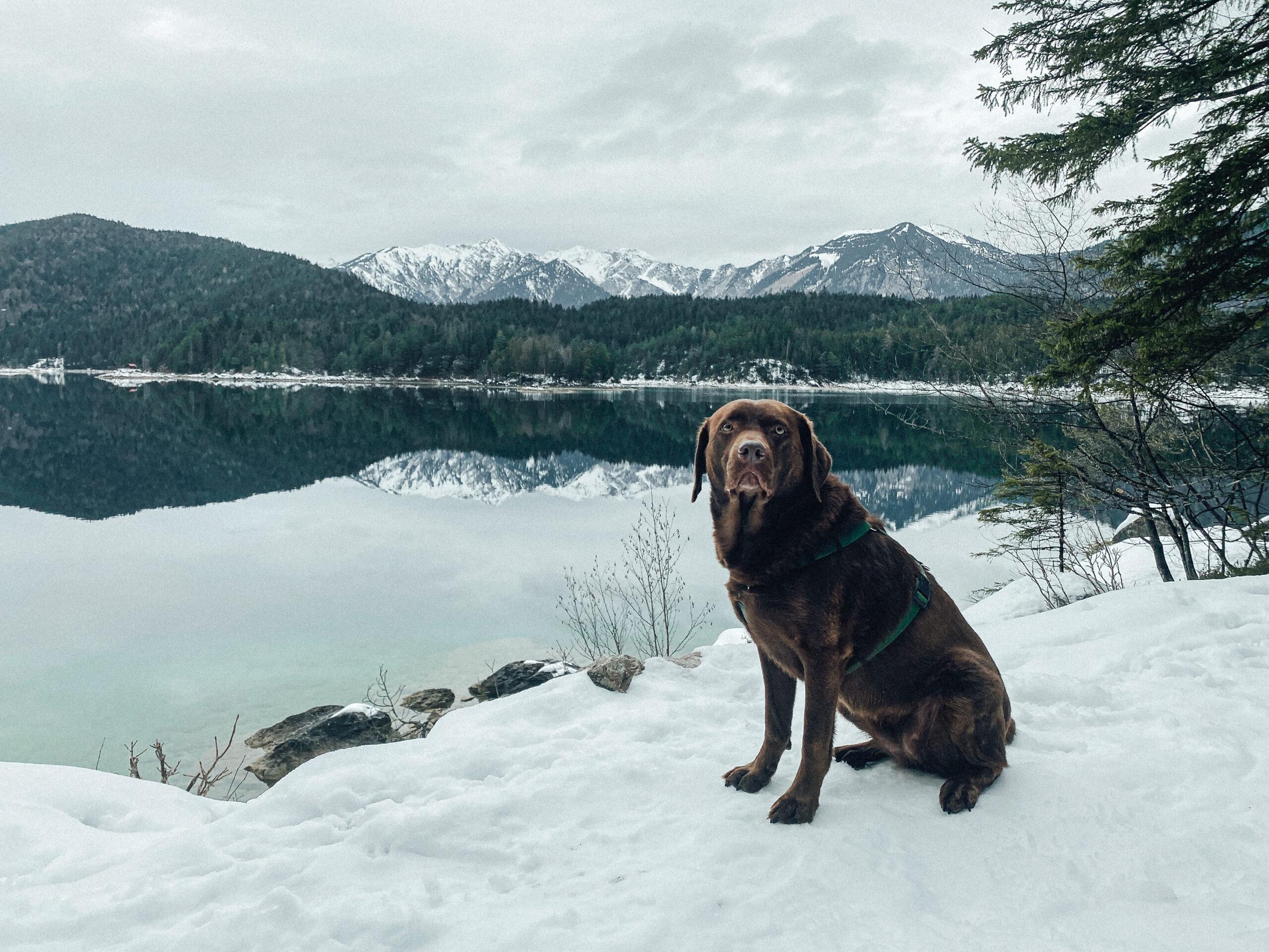 Eibsee 5