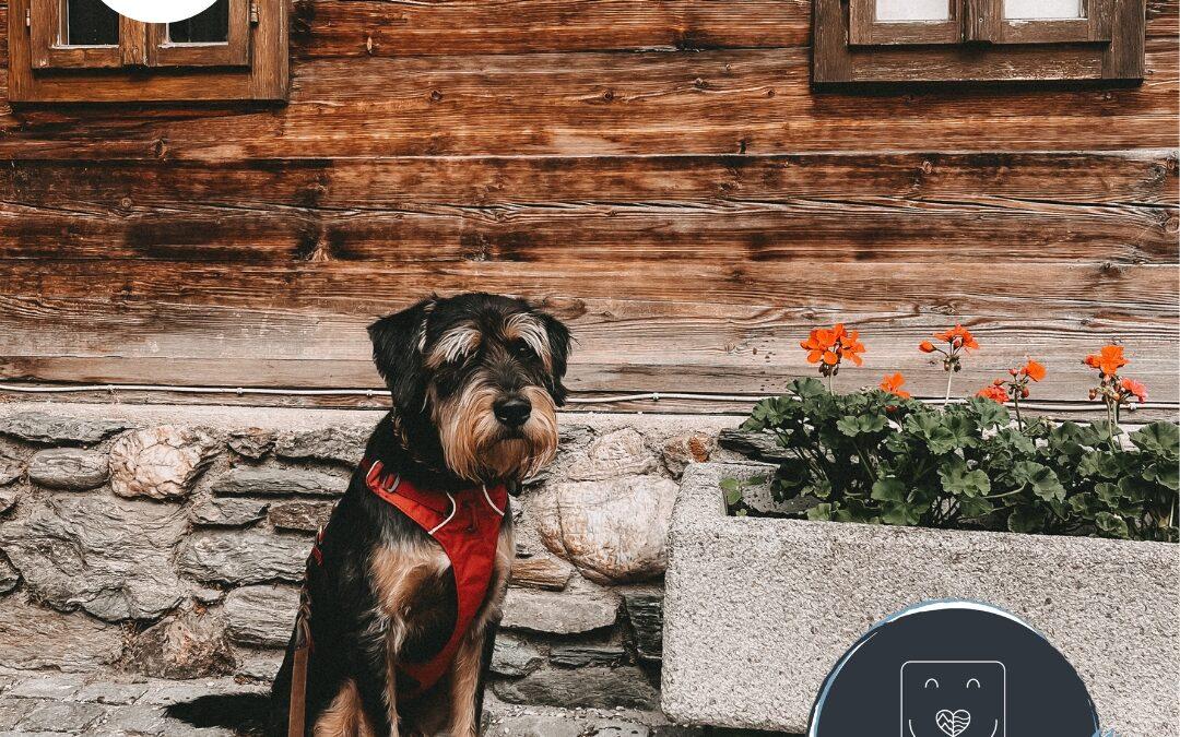 Doglidays Check mit Ludwig: Familienurlaub mit Hund und Kind