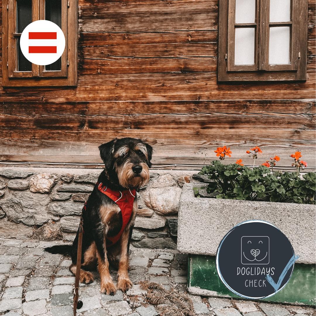Doglidays Check mit Ludwig: Familienurlaub mit Hund und Kind