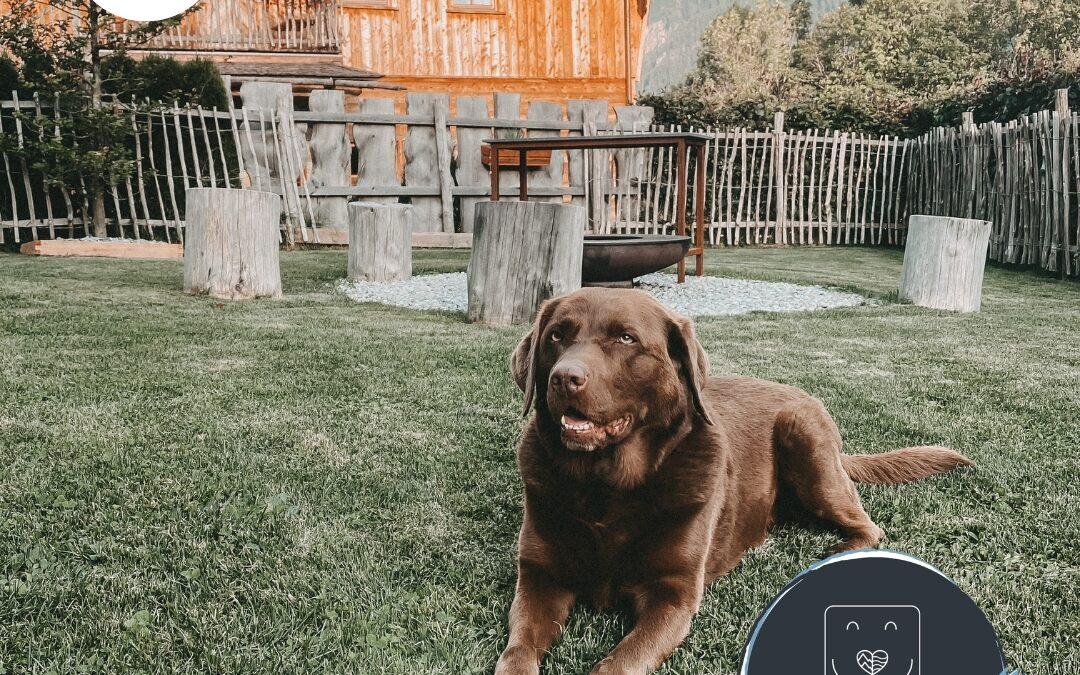 Doglidays Check: Hundeurlaub im Chalet mit Panorama