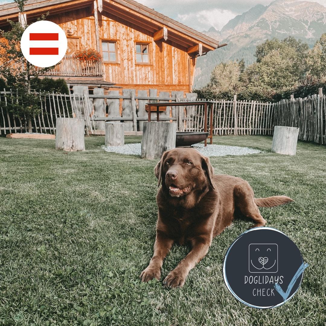 Doglidays Check: Hundeurlaub im Chalet mit Panorama