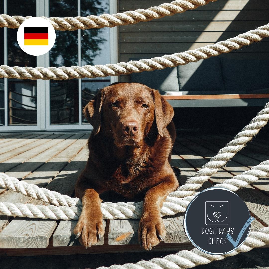 Doglidays Check: Urlaub mit Hund im Ferienhaus mit Wellnessfaktor