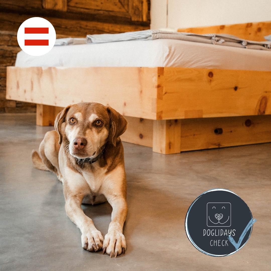 Doglidays Check mit Mala: Urlaub mit Hund im Troadkastn Sepp