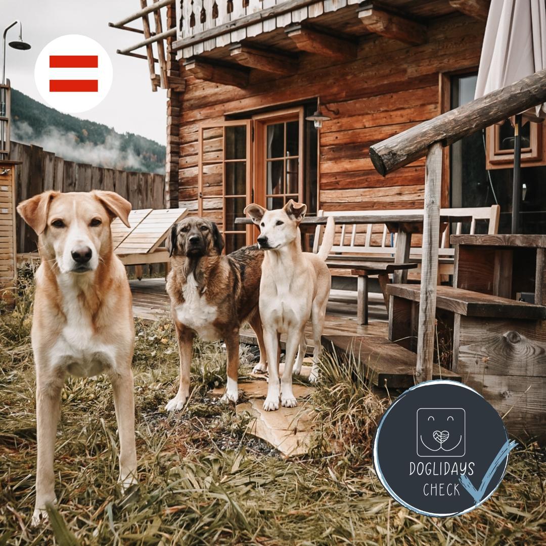 Doglidays Check mit Sirius, Luke und Tarah: Urlaub mit Hund im Luxus-Chalet