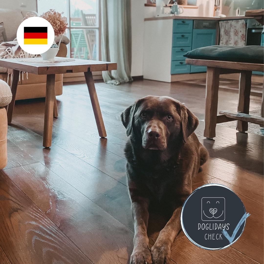 Doglidays Check: Boho Urlaub mit Hund in der Steiermark