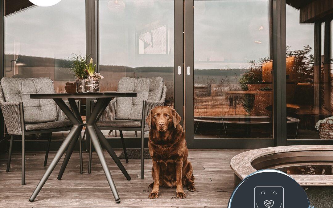 Doglidays Check: Urlaub mit Hund in den Weinbergen