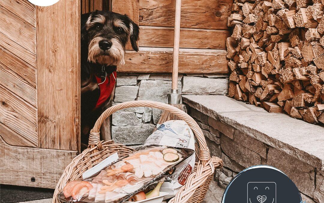 Doglidays Check mit Ludwig: Urlaub mit Hund und Kind im Familienparadies