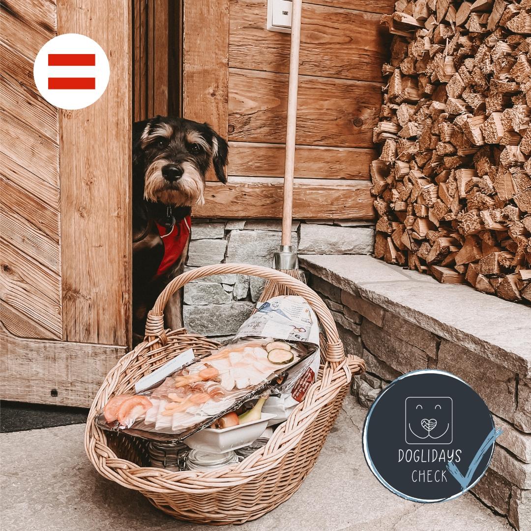 Doglidays Check mit Ludwig: Urlaub mit Hund und Kind im Familienparadies
