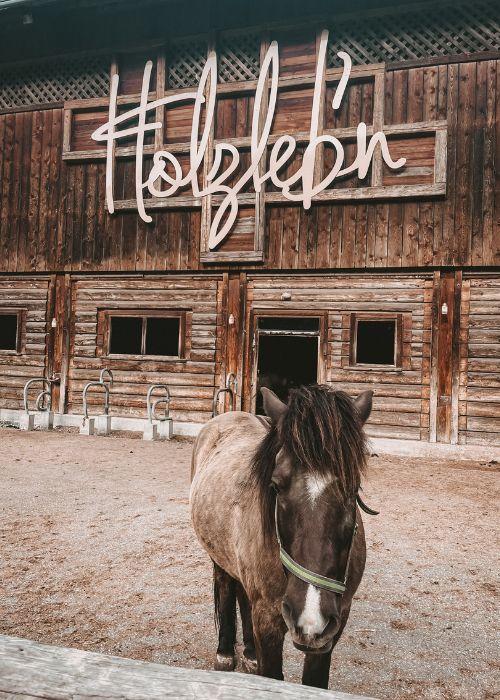Holzlebn_23