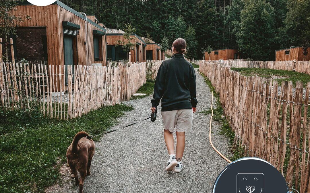 Doglidays Check: Urlaub mit Hund im Tiny house Dorf