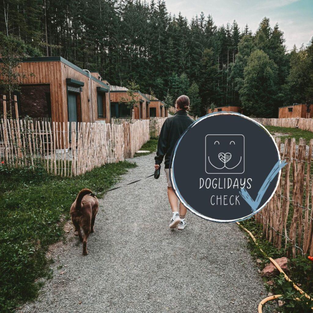 Doglidays Check_Doggia_Titelbild