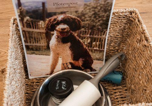 Wildbachberg_Rosa_10