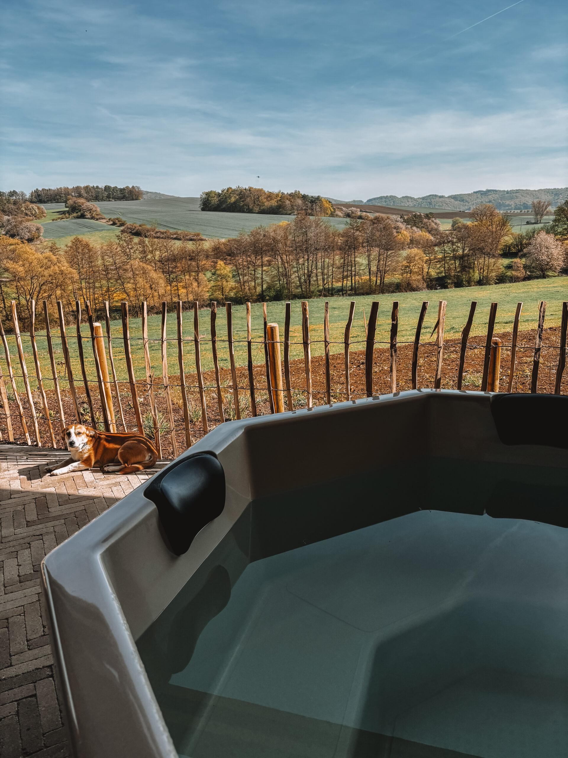 Doglidays Check_Hüttenchalet_3