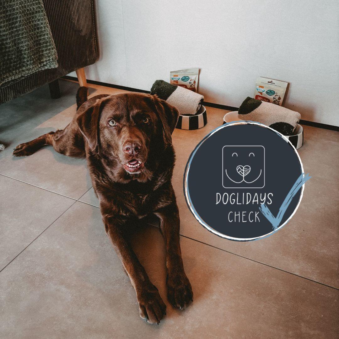 Doglidays Check_Hüttenchalets_Titelbild