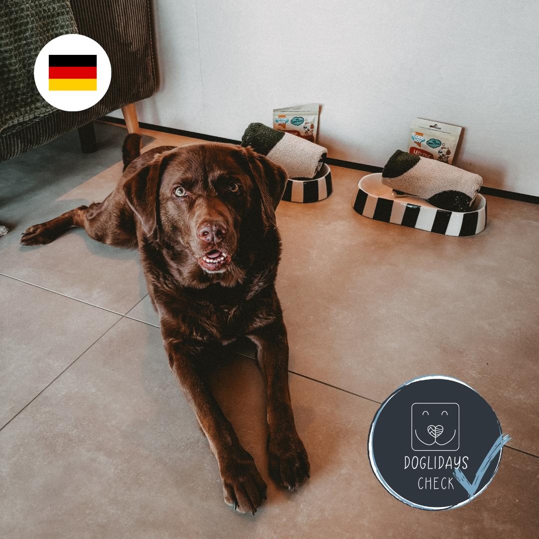 Doglidays Check: Urlaub mit Hund im Chalet in der Rhoen