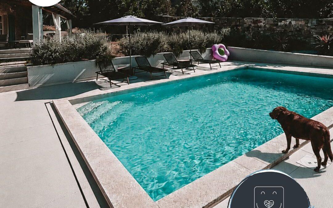 Doglidays Check: Ferienhaus mit Hund in Kroatien