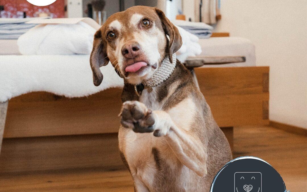 Doglidays Check mit Mala: Urlaub mit Hund im Haus Rosa