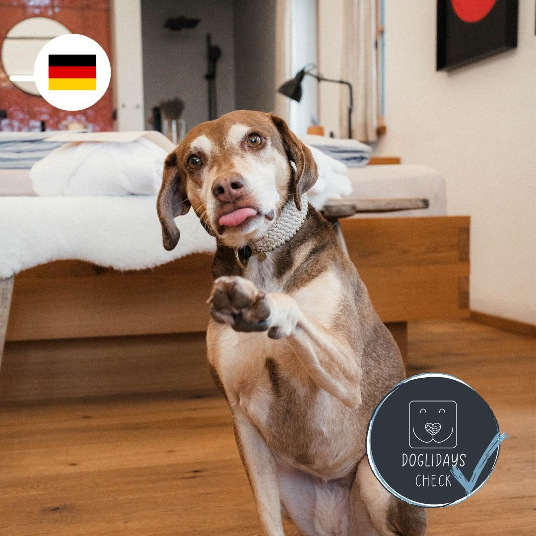 Doglidays Check mit Mala: Urlaub mit Hund im Haus Rosa