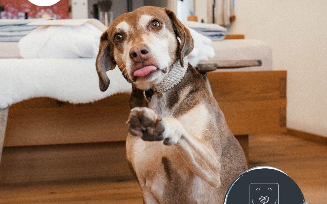 Doglidays Check mit Mala: Urlaub mit Hund im Haus Rosa