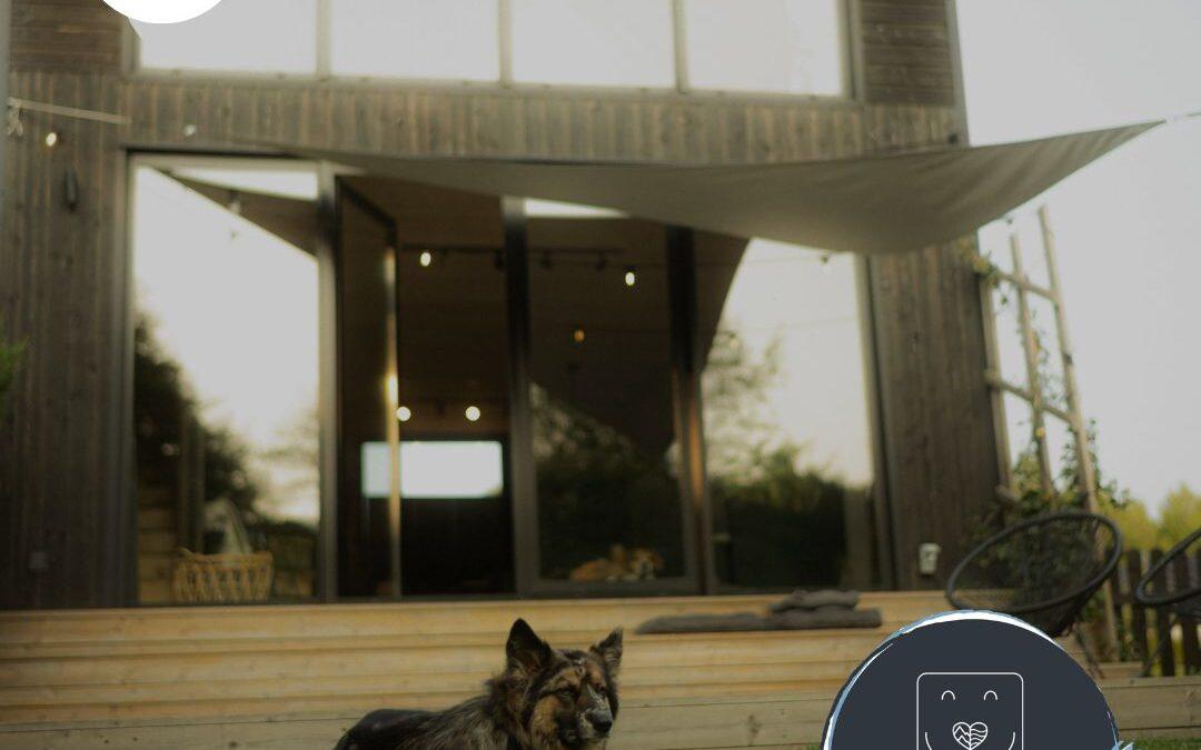 Doglidays Check mit Amigo und Don: Tiny House mit Hund in Polen