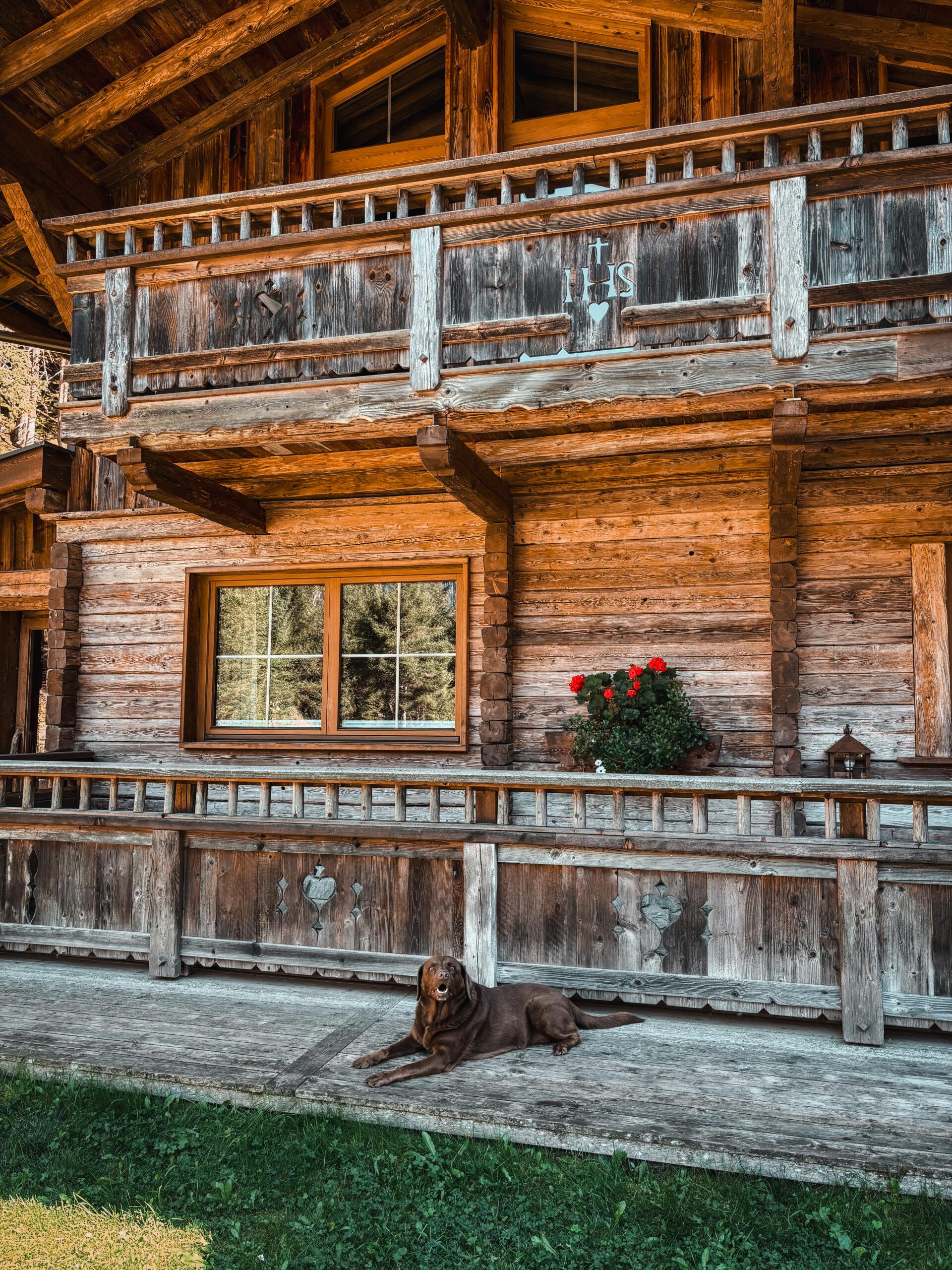 Doglidays Check_Gletscher Chalet_1