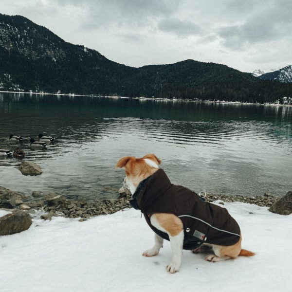 Eibsee Titelbild