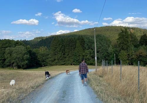 Mehrhundeurlaub 5