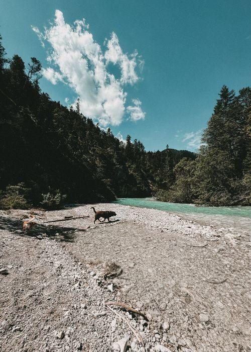 Doglidays Check Karwendel 27