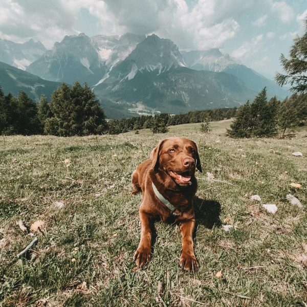 Hüttenwanderung Südtirol 1