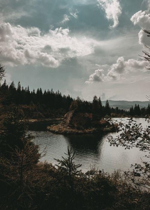 Wildbachberg_21